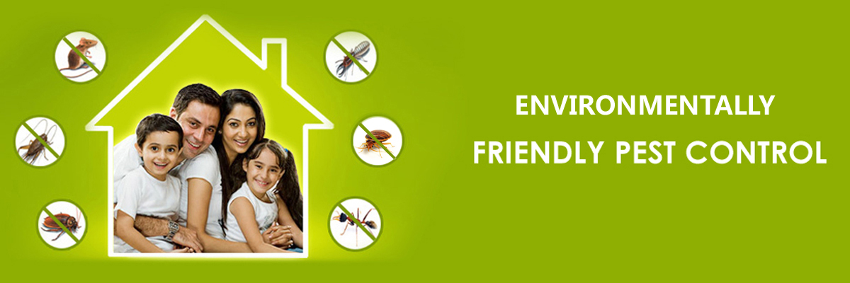 Elite Pest Control Dubai