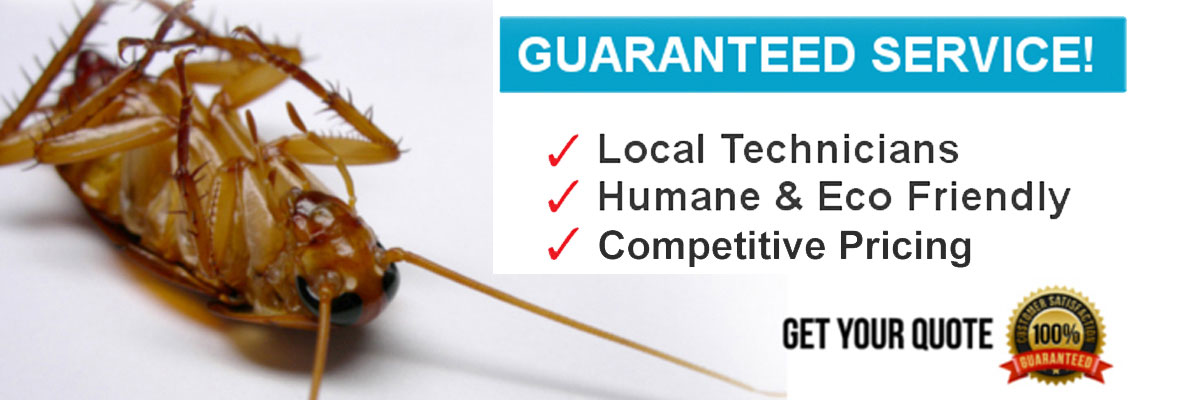 Elite Pest Control Dubai