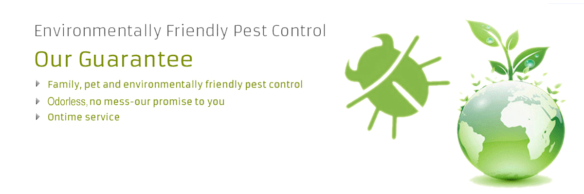 Elite Pest Control Dubai